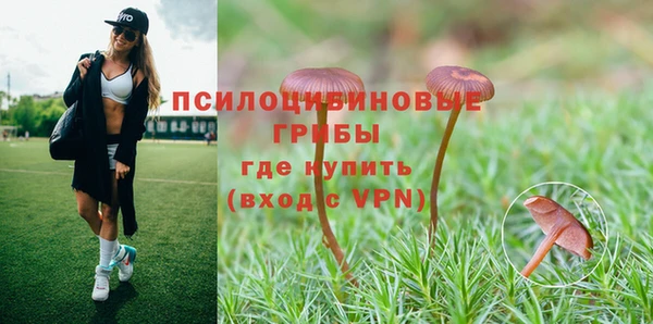 соль ск Вяземский