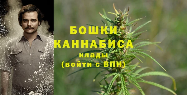 соль ск Вяземский