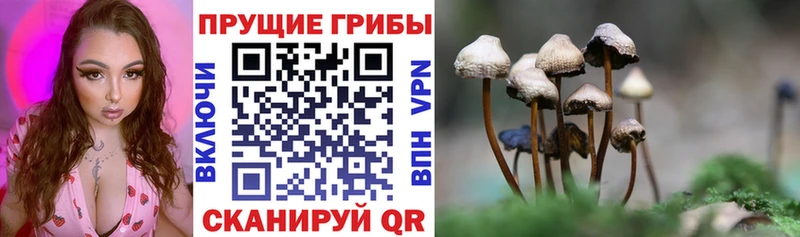 Псилоцибиновые грибы мицелий  Купить  Усолье-Сибирское 